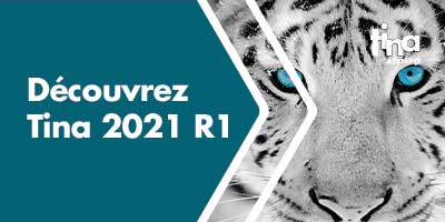 Tina 2021 R1 - sortie version